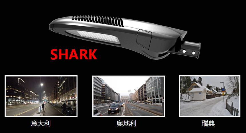 shark系列.jpg